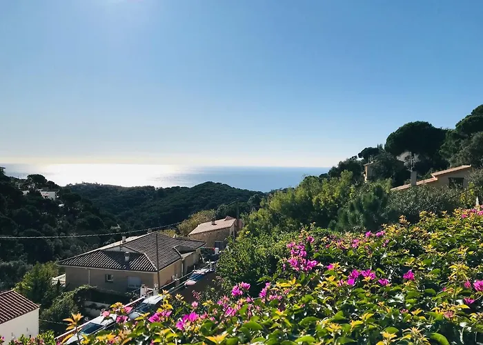 Villa Mediterranean Investingspain Sea View And Pool *